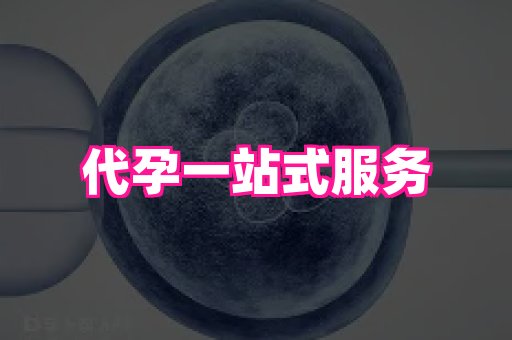 69助孕网 1